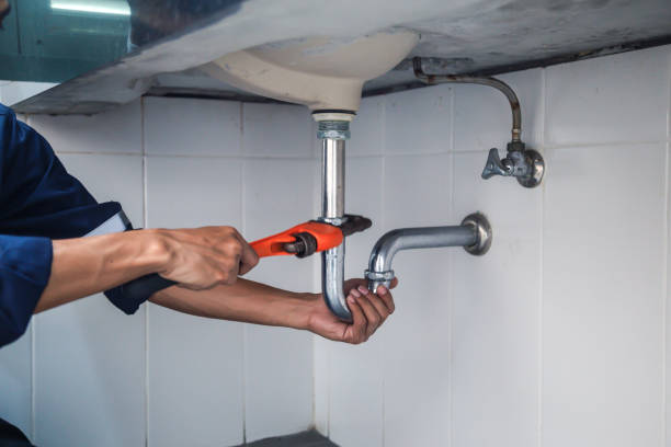 Best Emergency Plumbing Repair  in Andalusia, IL